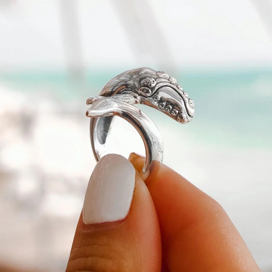 ANILLO BALLENA FRANCA AUSTRAL