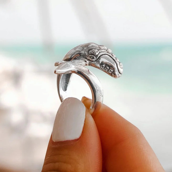 ANILLO BALLENA FRANCA AUSTRAL