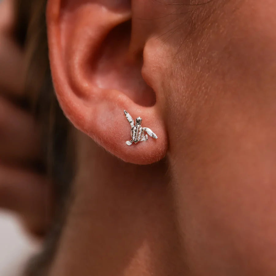 ARETES PEGADOS TORTUGA BEBE