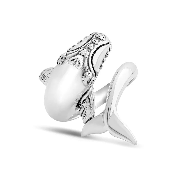 ANILLO BALLENA FRANCA AUSTRAL