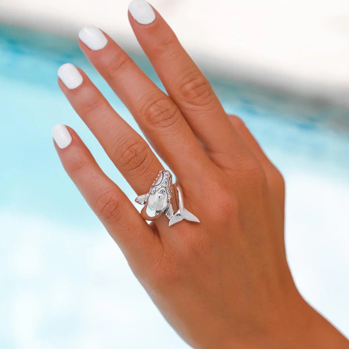 ANILLO BALLENA FRANCA AUSTRAL