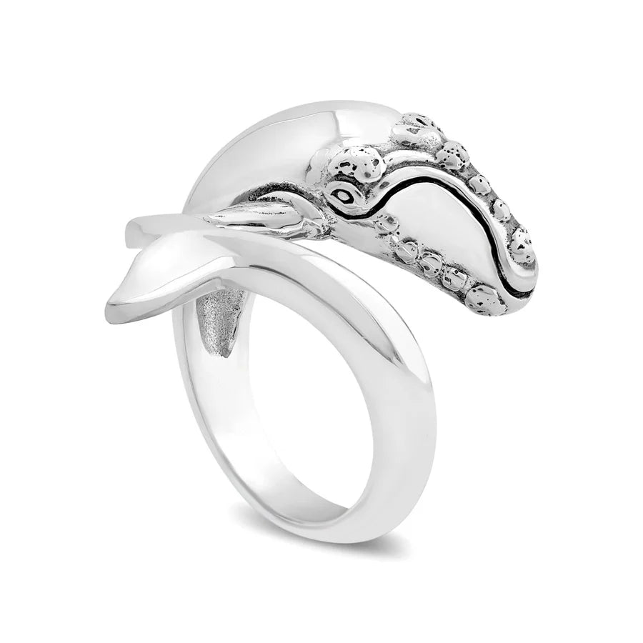 ANILLO BALLENA FRANCA AUSTRAL