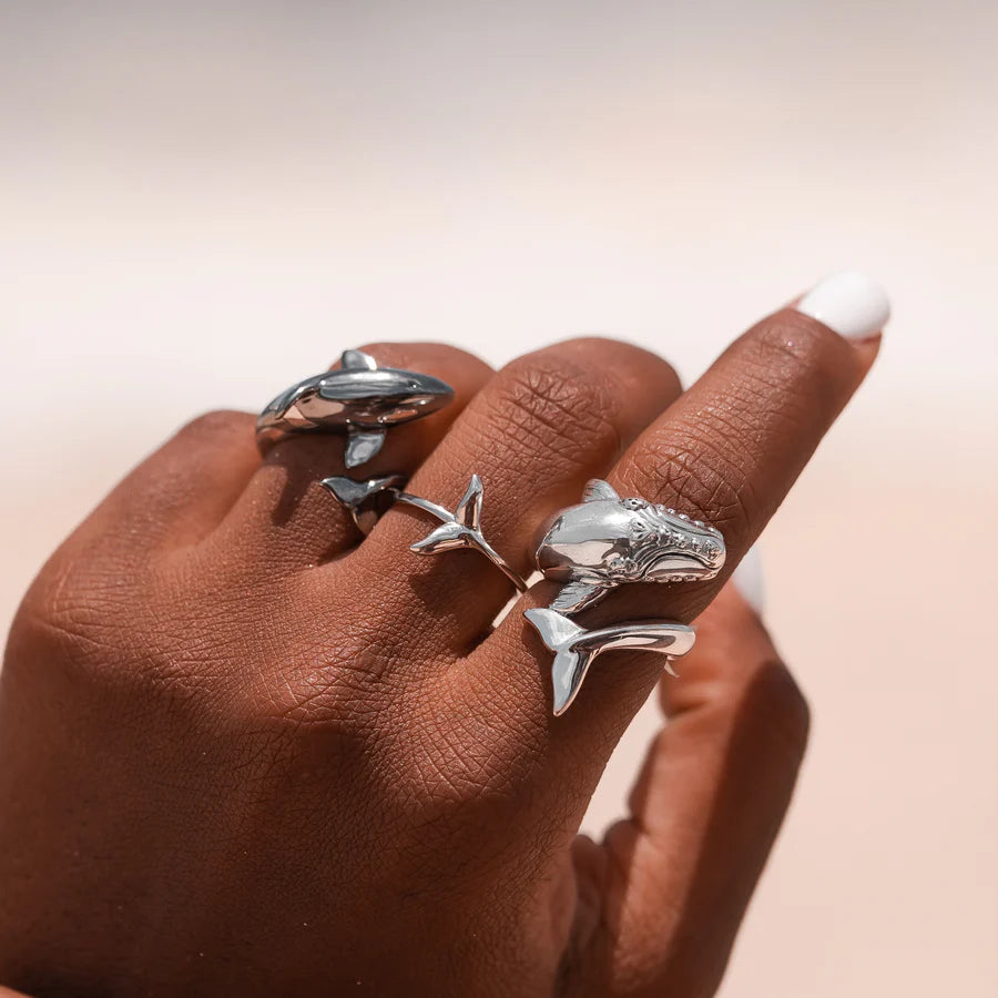 ANILLO BALLENA FRANCA AUSTRAL