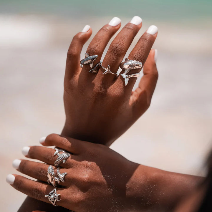 ANILLO BALLENA FRANCA AUSTRAL