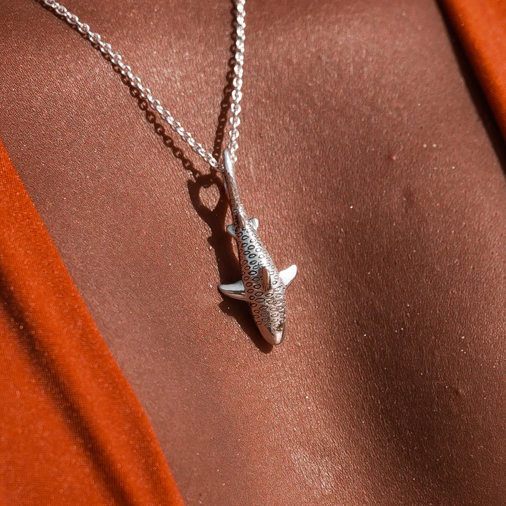 COLLAR TIBURON TIGRE